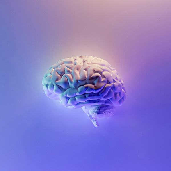 3D rendered brain model on a gradient blue and purple background