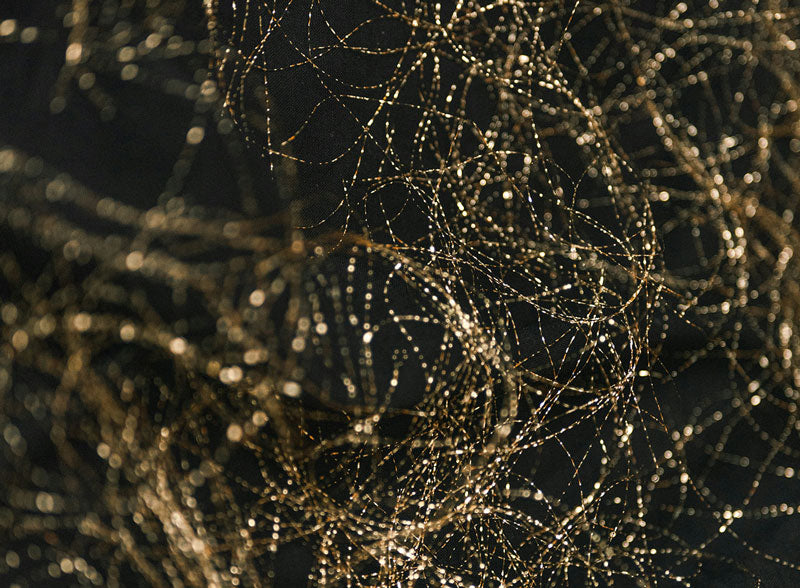 Close-up of a spider web with water droplets on a dark background